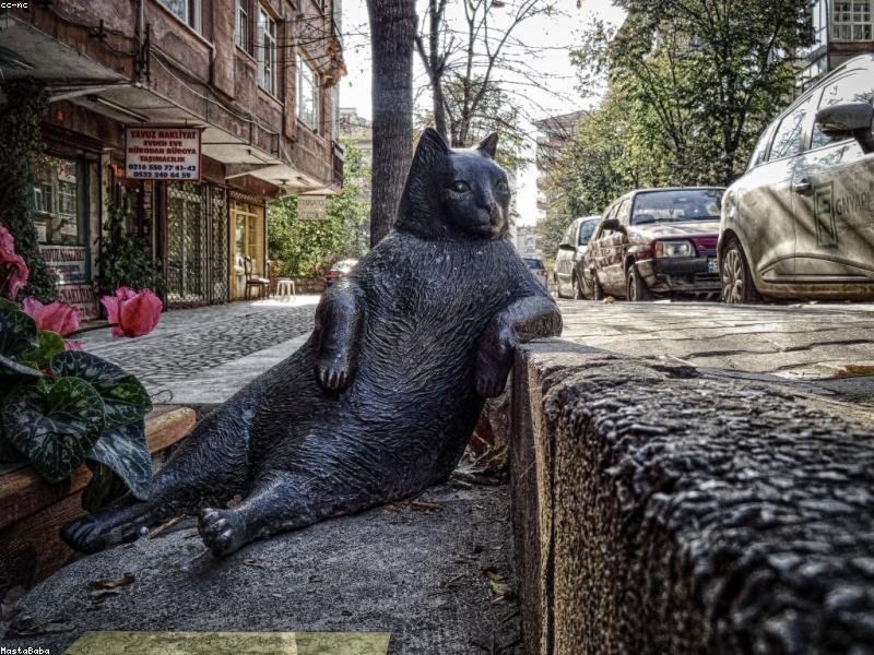 Industrial Loft Apartment